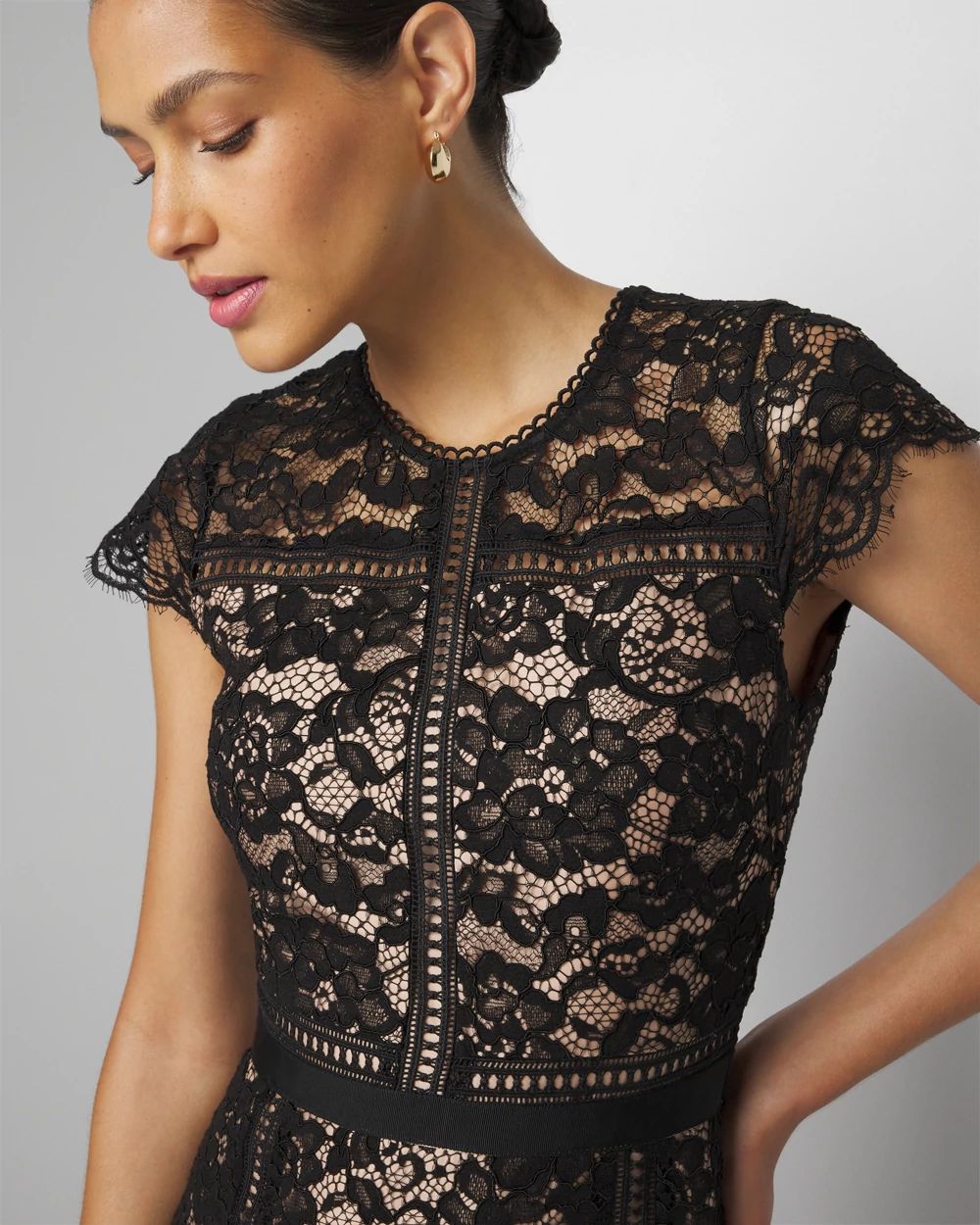 Short Sleeve Lace Fit and Flare Dress White House Black Market